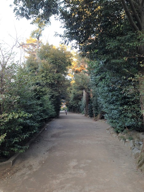 寒川神社（神奈川県高座郡）馬場
