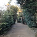 寒川神社（神奈川県高座郡）馬場
