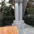 寒川神社（神奈川県高座郡）平和塔 和光