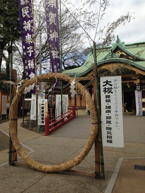 須賀神社（須賀町）大祓の茅の輪