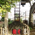 Photos: 須賀神社（須賀町）
