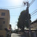 Photos: 地蔵坂（袋町）