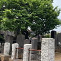 Photos: 宗参寺（弁天町）山鹿素行先生墓所