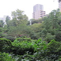 甘泉園公園（西早稲田3丁目）清水徳川家下屋敷跡
