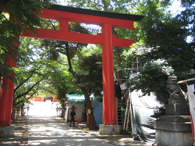 Photos: 花園神社（新宿5丁目）東鳥居