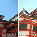 Photos: 花園神社（新宿5丁目）社殿