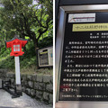 Photos: 十二社熊野神社 （西新宿2丁目）