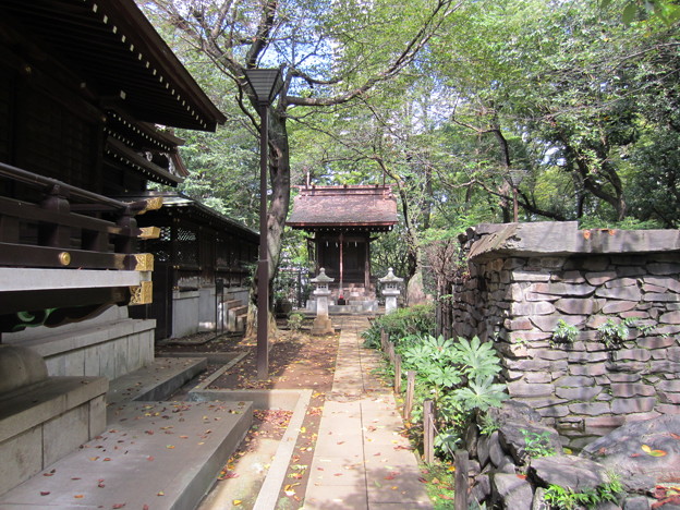 Photos: 十二社熊野神社 （西新宿2丁目）大鳥三社