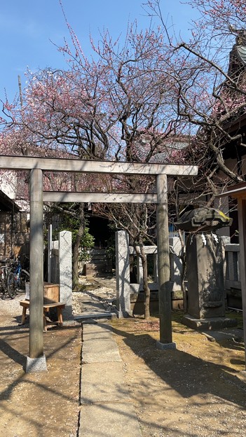 Photos: 牛天神 北野神社（春日）高木・太田神社