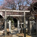 牛天神 北野神社（春日）高木・太田神社
