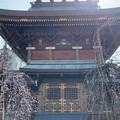 Photos: 湯島天満宮（湯島）社殿