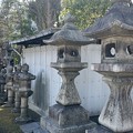 Photos: 牛嶋神社（墨田区）