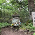六国見山（鎌倉市）稚児の墓