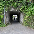 Photos: 台 亀井隧道（鎌倉市）
