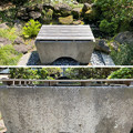 Photos: 安養院（鎌倉市）水盤
