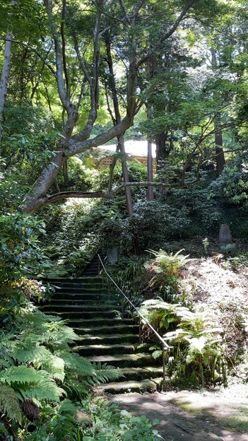 妙法寺（鎌倉市）石段～階段