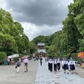 Photos: 鶴岡八幡宮（鎌倉市）参道