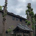 蛭子神社（鎌倉市）
