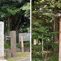 富士浅間神社（智形神社。深谷市）深谷城外堀跡