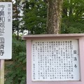 Photos: 国済寺（深谷市）庁鼻和城跡
