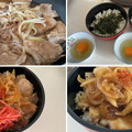 Photos: 熊本 りんどうポーク――焼肉豚丼 (2)