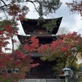 Photos: 豪徳寺（世田谷区）三重塔