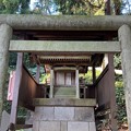 Photos: 朝比奈熊野神社（横浜市）本殿脇小祠