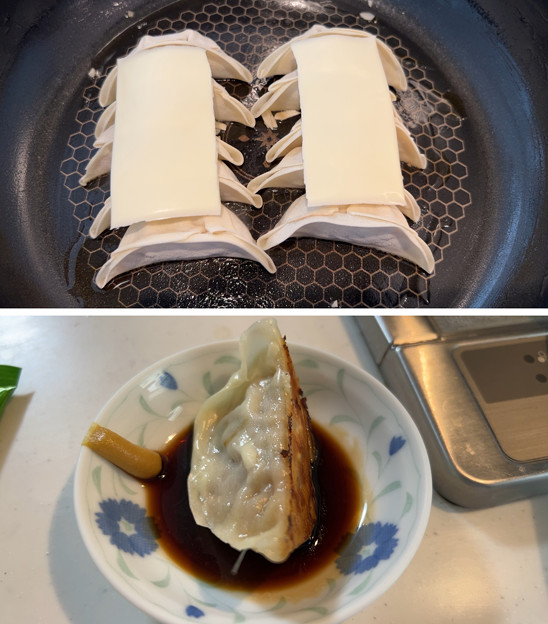 静岡 浜松餃子――とある日のチーズ焼き