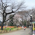 23.03.17.旧渋沢庭園／飛鳥山公園（東京都北区） (21)