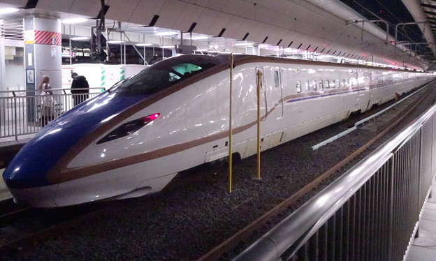 JR東日本上越新幹線E7系｢たにがわ｣