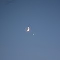 Photos: 月と金星かな・・・