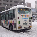 Photos: #9334 京成タウンバスT301 2013-1-14