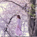 桜色に染まって～！