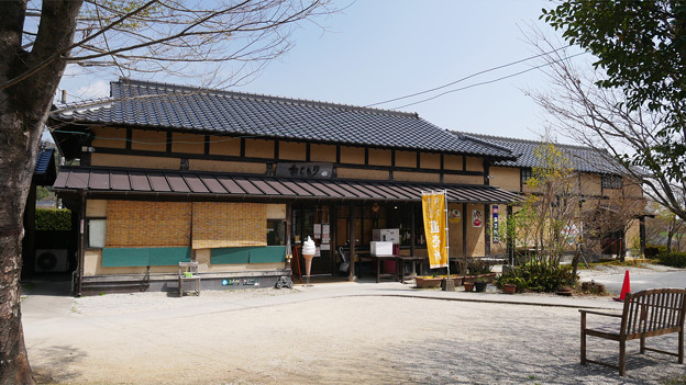 梅の花神埼村 (4)