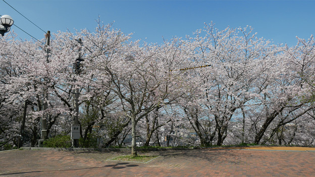 笹山公園 (1)
