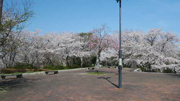 笹山公園 (2)