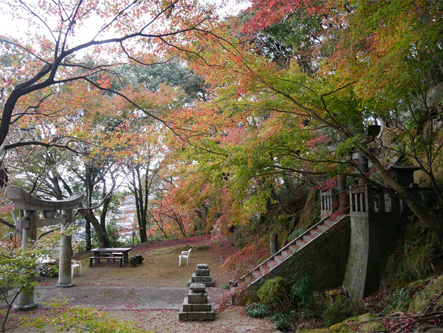 桜山公園 ～ 天満宮と紅葉 (8)
