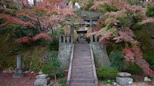 桜山公園 ～ 天満宮と紅葉 (10)