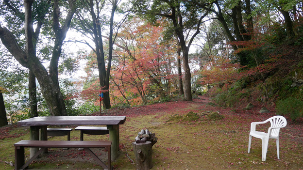 桜山公園 ～ 天満宮と紅葉 (11)