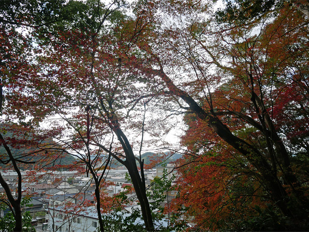 桜山公園 ～ 天満宮と紅葉 (12)