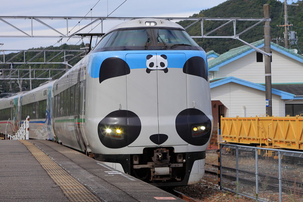 Photos: パンダ列車　３編成目