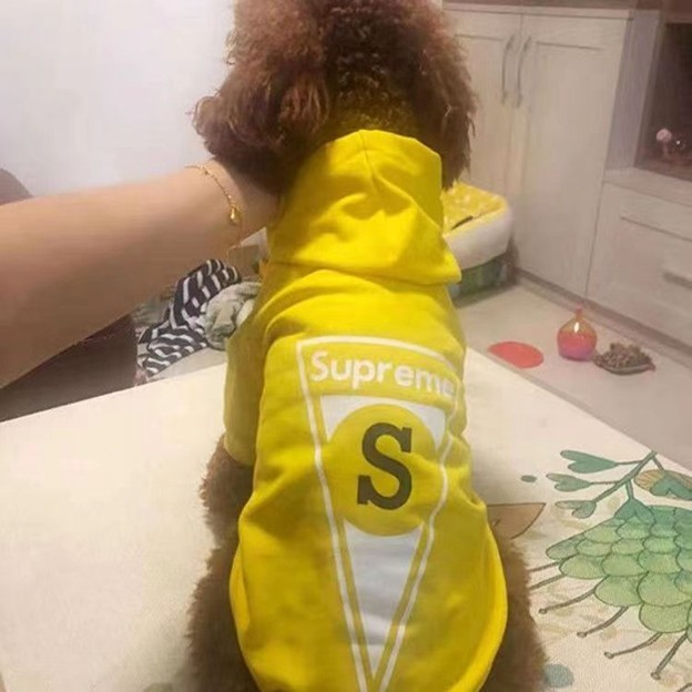 Supreme 犬パーカー 激安 バーバリー ペット用クッション ルイヴィトン 犬 ダウンジャケット