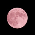 Photos: ストロベリームーン　　６月の満月