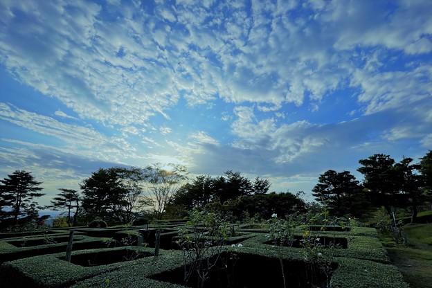 奥卯辰山健民公園　ベルギー庭園