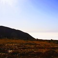 Photos: 立山室堂　雲海とチングルマの紅葉