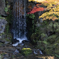翠滝と紅葉