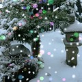 Photos: 庭の雪　加工