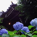 Photos: 白山神社