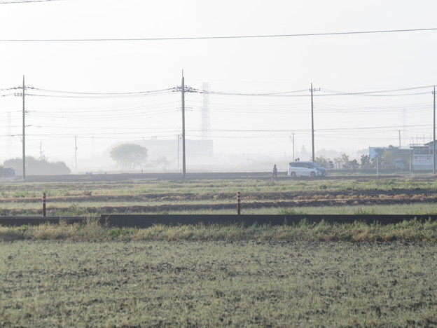 IMG_2984靄に包まれた田圃