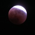 赤く染まり始めた月